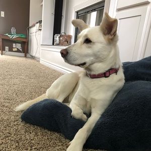 Meet your Posher, Delaney